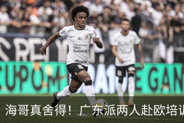 海哥真舍得！广东派两人赴欧培训 王洪泽特训一个月 杜锋去学习战术